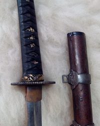Самурайский меч, Вакидзачи